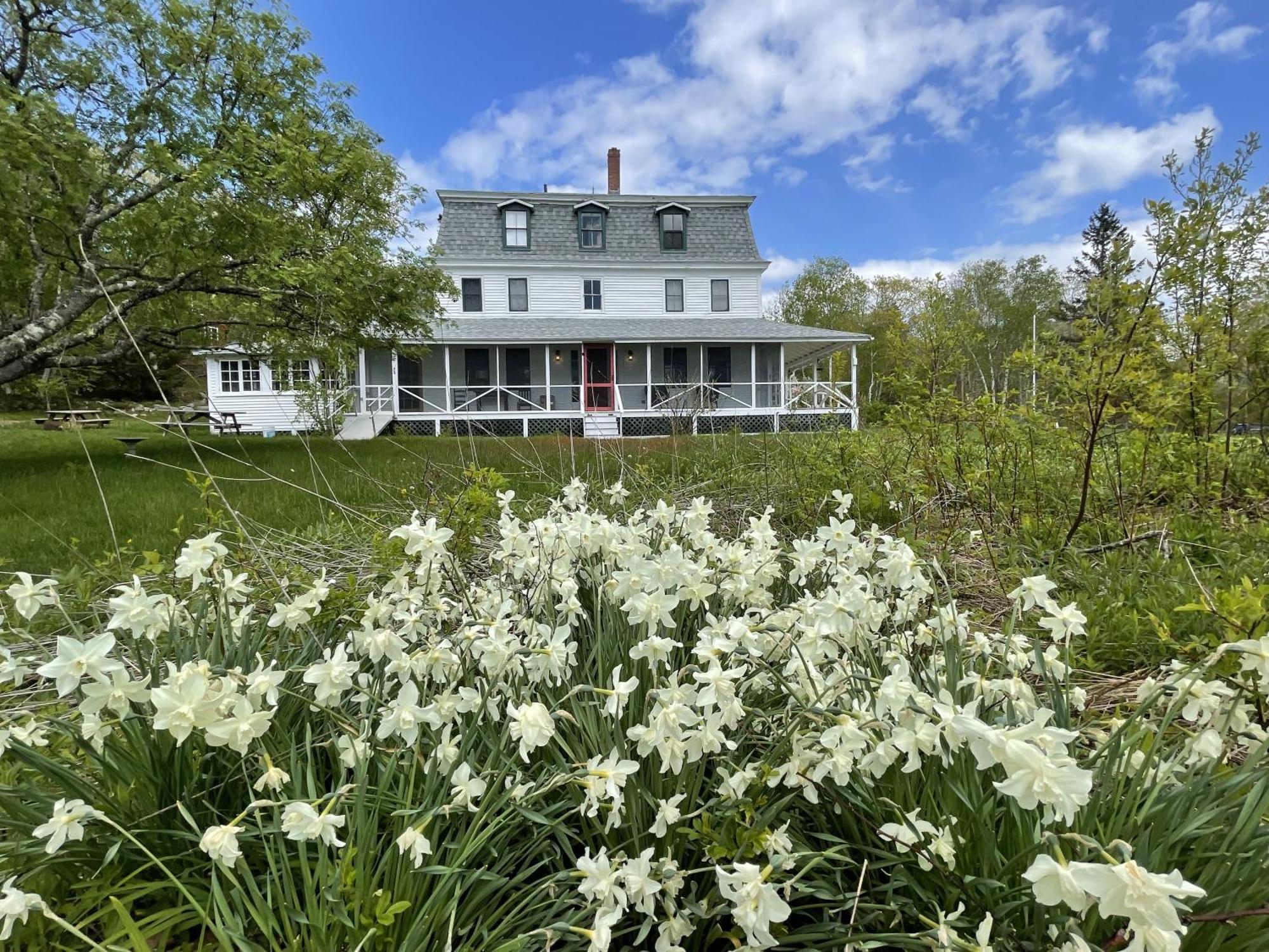 Oakland House Seaside Inn & Cottages Brooksville Bagian luar foto